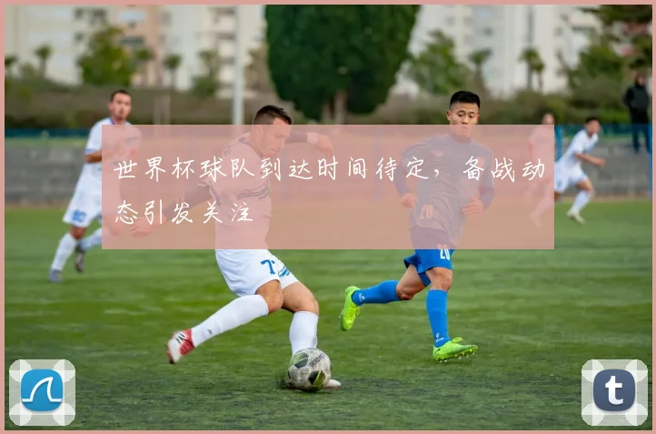 世界杯球队到达时间待定,备战动态引发关注