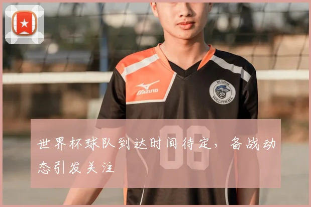 世界杯球队到达时间待定,备战动态引发关注
